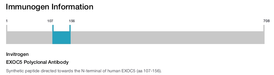 EXOC5 Polyclonal Antibody