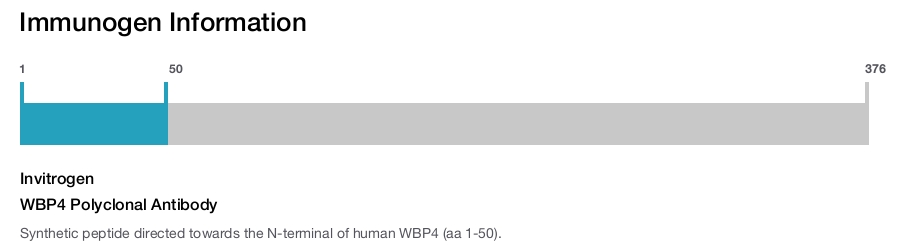 WBP4 Polyclonal Antibody