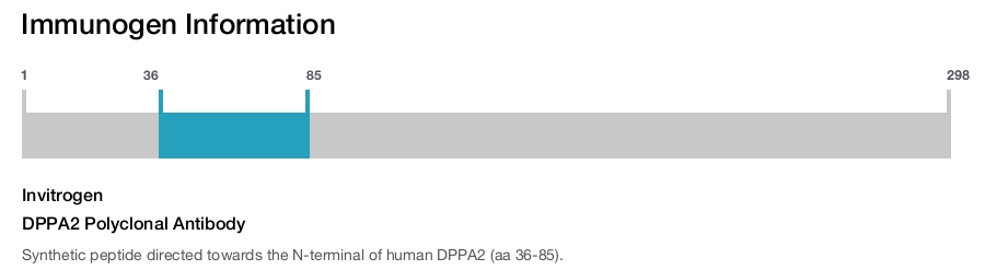 DPPA2 Polyclonal Antibody