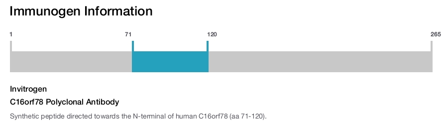 C16orf78 Polyclonal Antibody