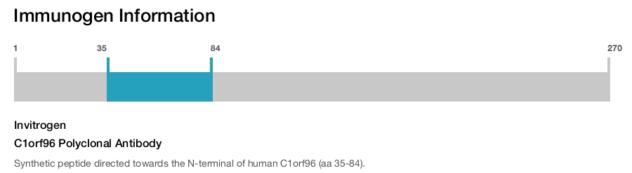 C1orf96 Polyclonal Antibody