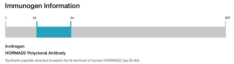 HORMAD2 Polyclonal Antibody