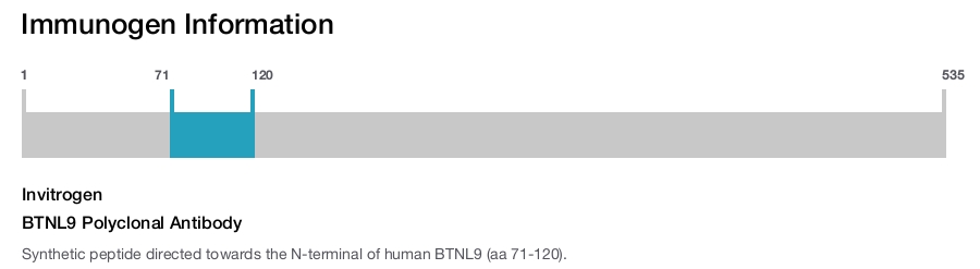 BTNL9 Polyclonal Antibody