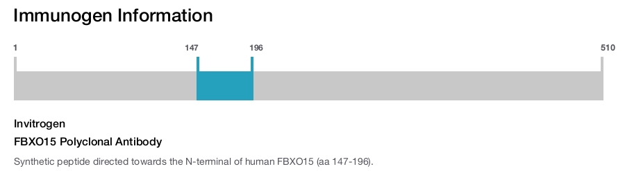 FBXO15 Polyclonal Antibody