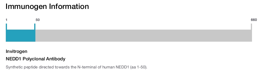 NEDD1 Polyclonal Antibody
