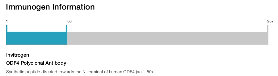 ODF4 Polyclonal Antibody