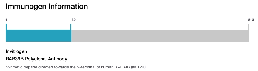 RAB39B Polyclonal Antibody
