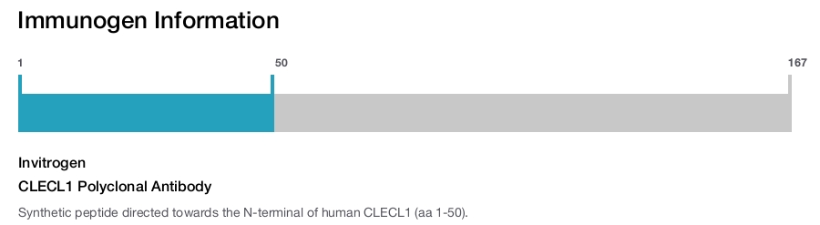 CLECL1 Polyclonal Antibody