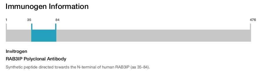 RAB3IP Polyclonal Antibody