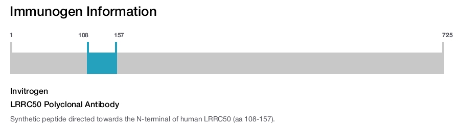 LRRC50 Polyclonal Antibody
