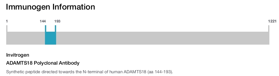 ADAMTS18 Polyclonal Antibody