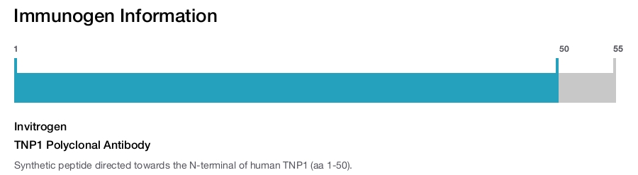 TNP1 Polyclonal Antibody