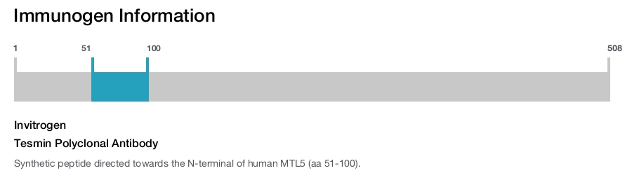 Tesmin Polyclonal Antibody