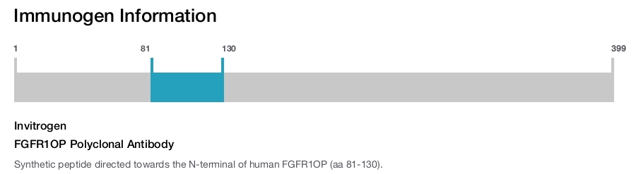 FGFR1OP Polyclonal Antibody