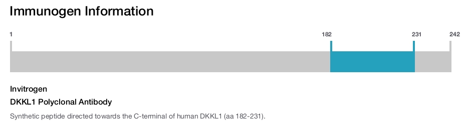 DKKL1 Polyclonal Antibody