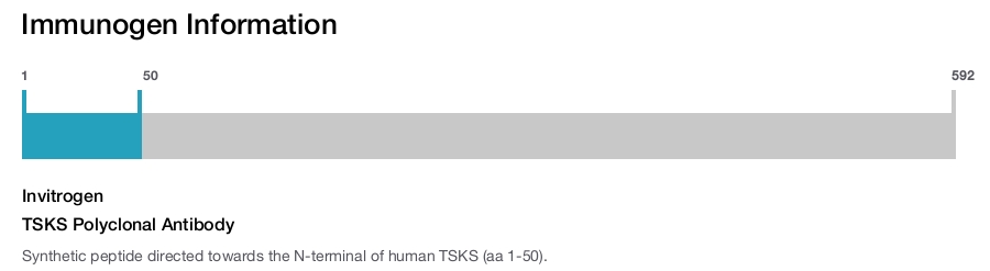 TSKS Polyclonal Antibody