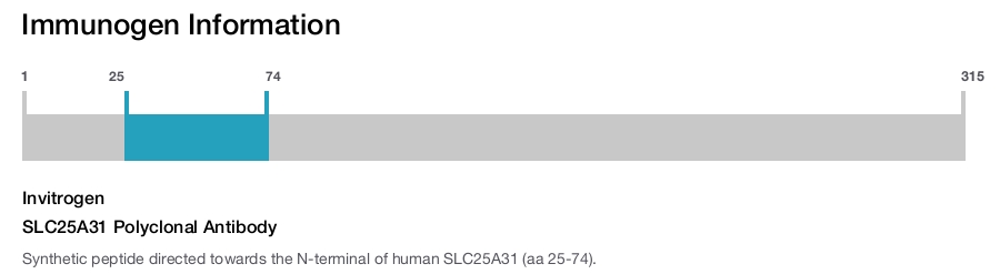 SLC25A31 Polyclonal Antibody