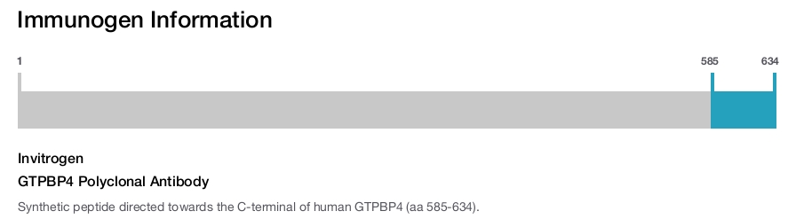 GTPBP4 Polyclonal Antibody