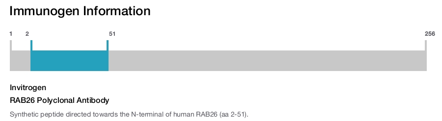 RAB26 Polyclonal Antibody