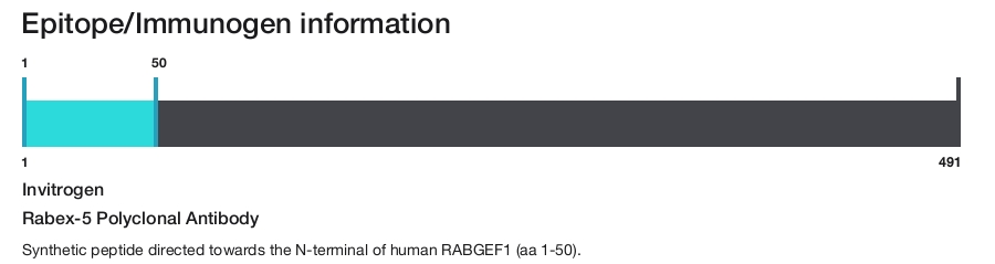 Rabex-5 Polyclonal Antibody