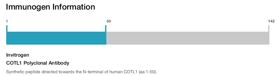 COTL1 Polyclonal Antibody