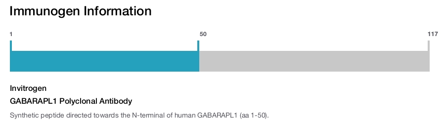 GABARAPL1 Polyclonal Antibody