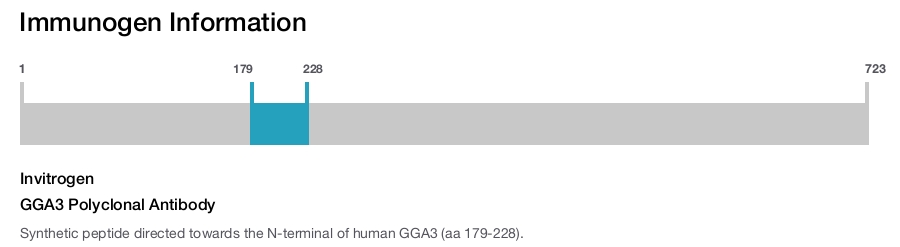 GGA3 Polyclonal Antibody