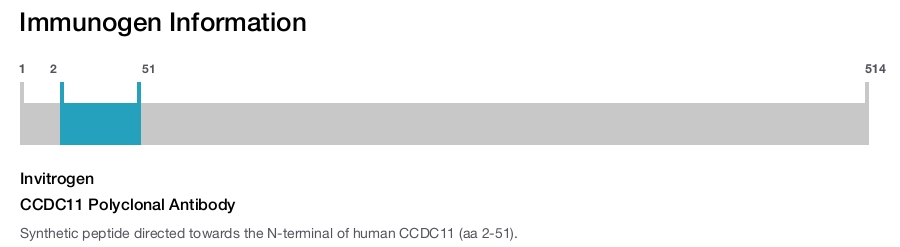 CCDC11 Polyclonal Antibody