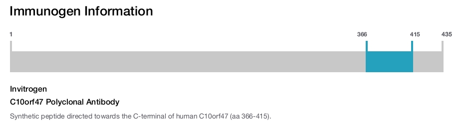 C10orf47 Polyclonal Antibody