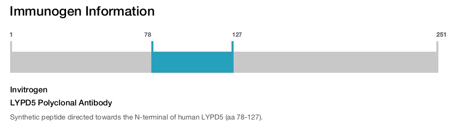 LYPD5 Polyclonal Antibody