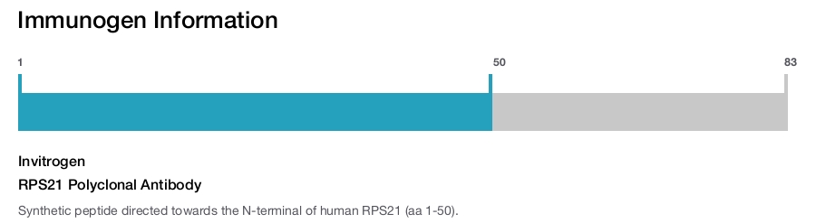 RPS21 Polyclonal Antibody