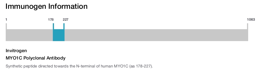 MYO1C Polyclonal Antibody