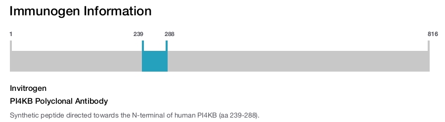 PI4KB Polyclonal Antibody