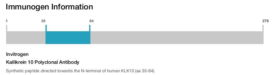 Kallikrein 10 Polyclonal Antibody