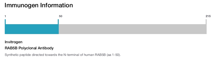 RAB5B Polyclonal Antibody