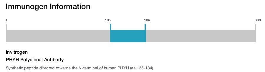 PHYH Polyclonal Antibody