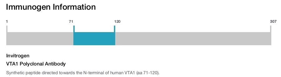 VTA1 Polyclonal Antibody