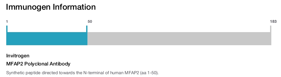 MFAP2 Polyclonal Antibody