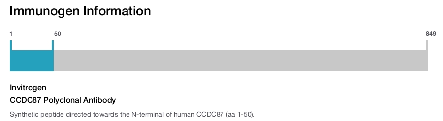 CCDC87 Polyclonal Antibody