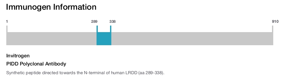 PIDD Polyclonal Antibody