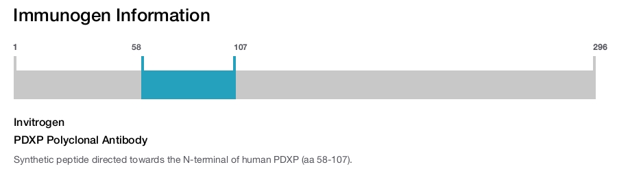 PDXP Polyclonal Antibody