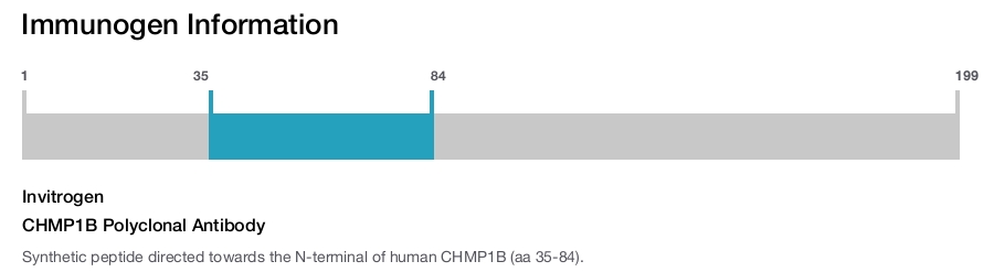 CHMP1B Polyclonal Antibody