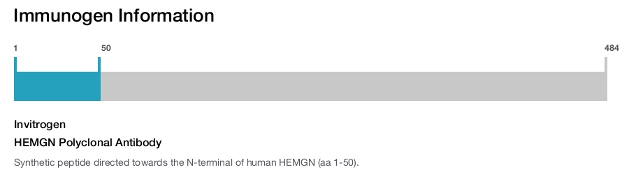 HEMGN Polyclonal Antibody
