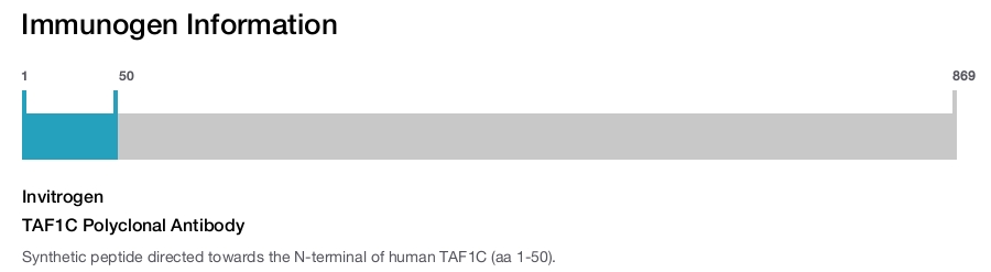 TAF1C Polyclonal Antibody