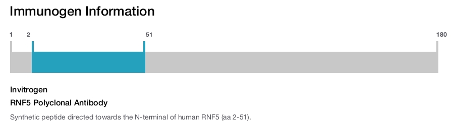 RNF5 Polyclonal Antibody