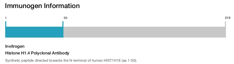 Histone H1.4 Polyclonal Antibody