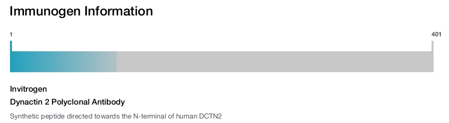 Dynactin 2 Polyclonal Antibody