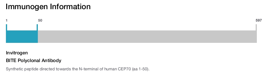 BITE Polyclonal Antibody
