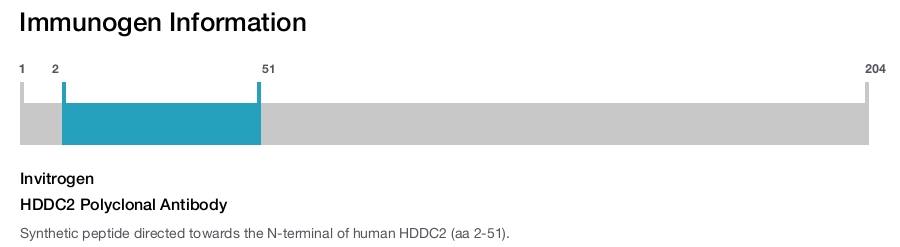 HDDC2 Polyclonal Antibody