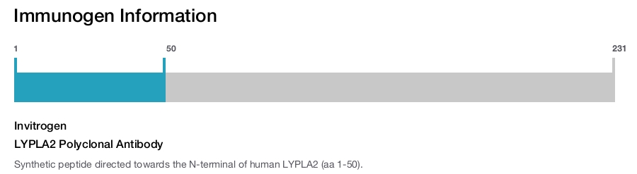 LYPLA2 Polyclonal Antibody